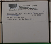 Image Associated With the Occurence